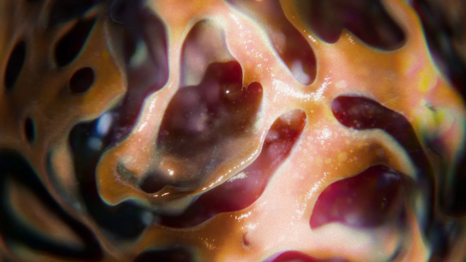 Ray-Bearing Vessels Fear The Concavity Of Their Homeworld Geometry