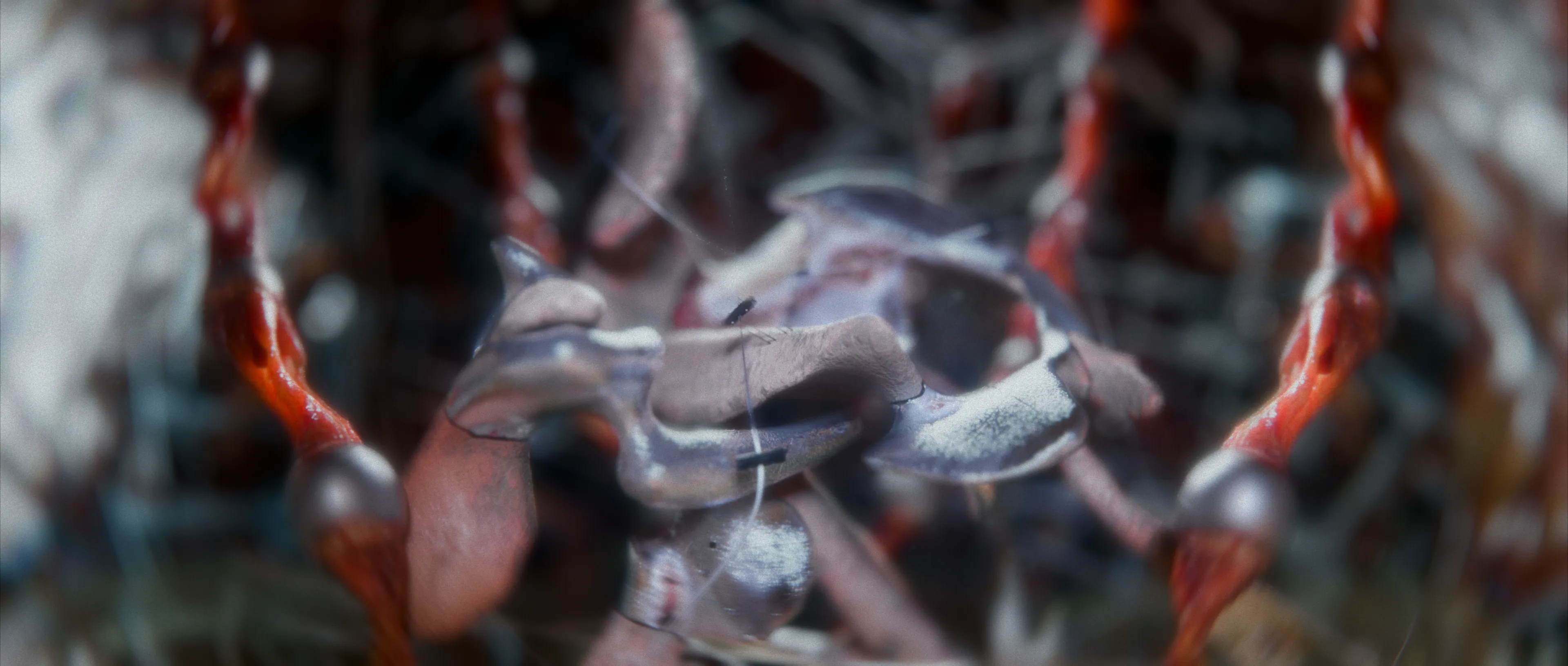 Cinematic CGI visualization of muscles and tendons stretched like gym resistance bands, transforming the human body into an uncanny biomechanical arena.