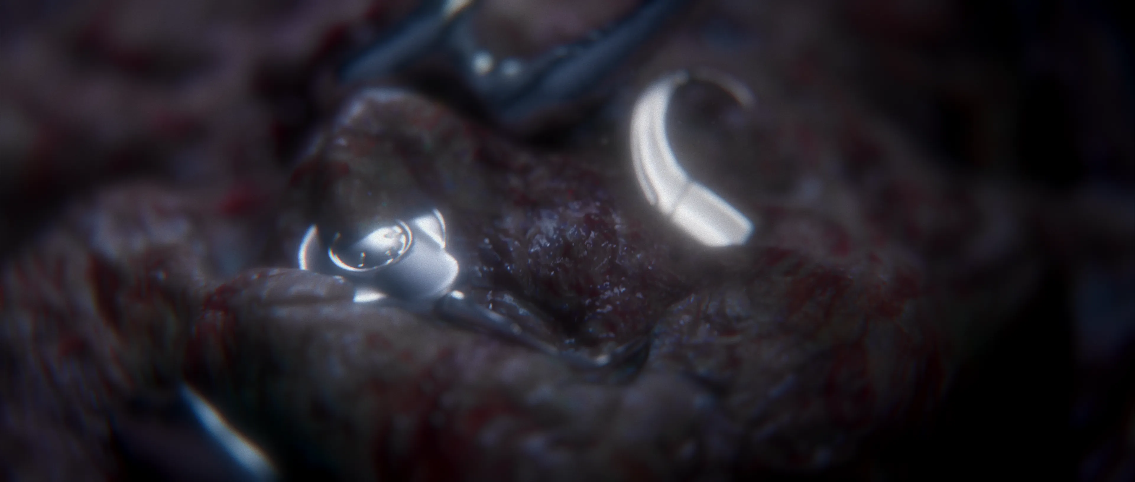 Experimental CGI environment of distorted flesh and fitness-inspired mechanics, creating an uncanny hybrid between organic bodies and industrial training equipment.